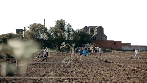 Network of Communities